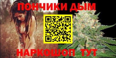 гидра Краснокаменск