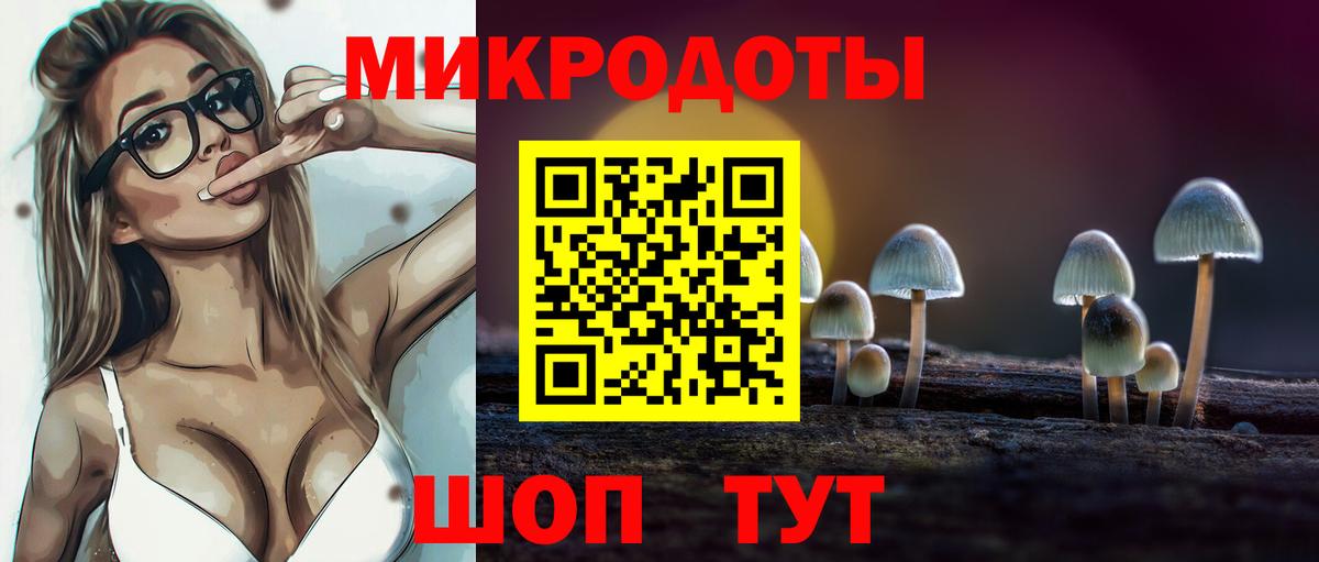 Псилоцибиновые грибы прущие грибы  Вход с VPN  Камышлов  Псилоцибиновые грибы Magic Shrooms 